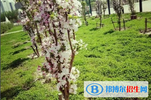 河北滄州第一中學2021年招生簡章