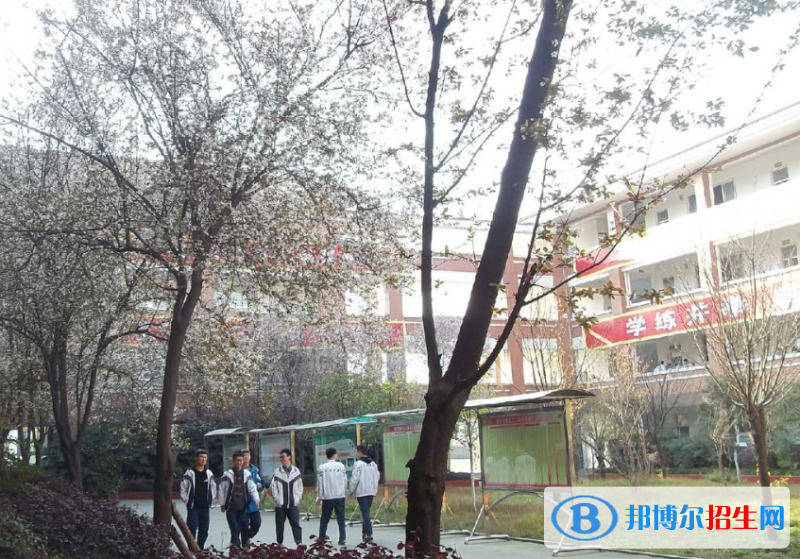 大邑新場鎮(zhèn)學校2021年排名