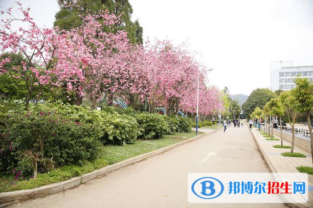云南聯(lián)合經(jīng)濟學(xué)校2021年學(xué)費，收費多少