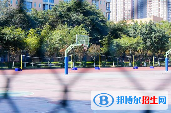 成都七中實驗學(xué)校網(wǎng)站網(wǎng)址