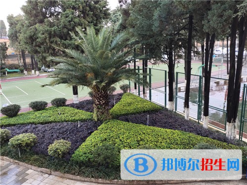 云南省昭通市鎮(zhèn)雄縣職業(yè)高級中學2021年有哪些專業(yè)