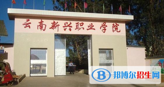 云南新興職業(yè)學(xué)院五年制大專2021年招生錄取分數(shù)線