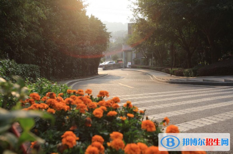煙臺城鄉(xiāng)建設學校2021年招生錄取分數(shù)線