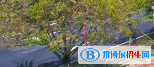 四川2021年中?？梢钥际裁醋C