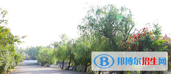 成都2021年初中生報(bào)什么護(hù)理學(xué)校最好