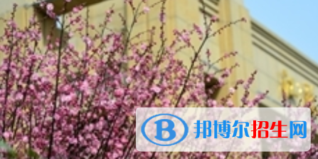 四川2021年200分能上計算機學校嗎
