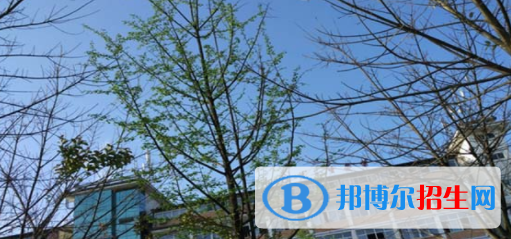 四川現(xiàn)代藝術(shù)學(xué)校2022年報(bào)名條件、招生要求、招生對象
