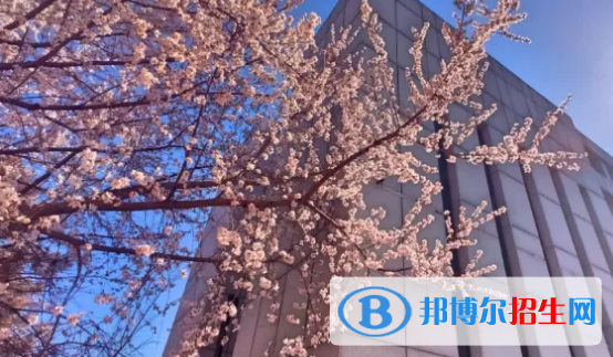 貴陽(yáng)2022年中專有啥專業(yè)