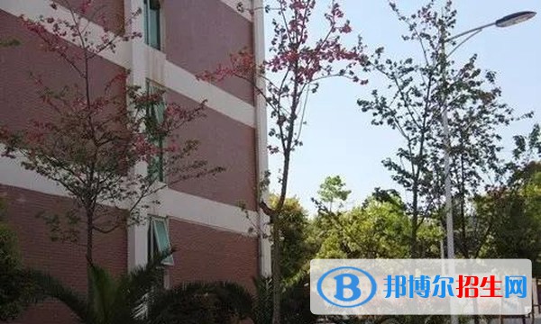 威信縣職業(yè)高級中學(xué)2022年有哪些專業(yè)