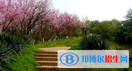 貴陽(yáng)2022年沒(méi)讀完初中可以讀中專學(xué)校嗎