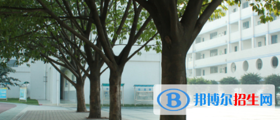 成都洞子口職業(yè)高級中學(xué)2022年報名條件、招生要求、招生對象