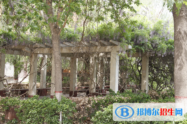 滄州市職業(yè)技術教育中心2022年報名條件、招生要求、招生對象