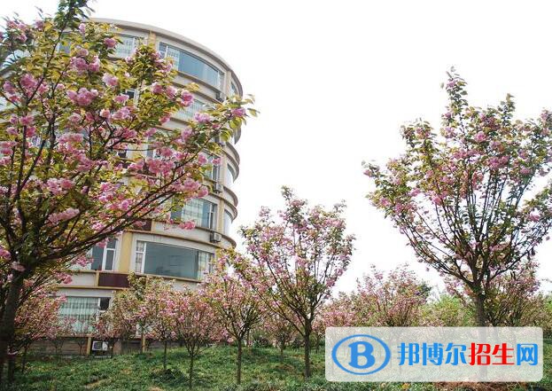 重慶交通職業(yè)學院怎么樣、好不好