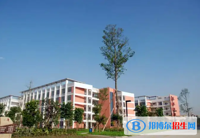 樹德中學(xué)國(guó)際部2022年招生政策