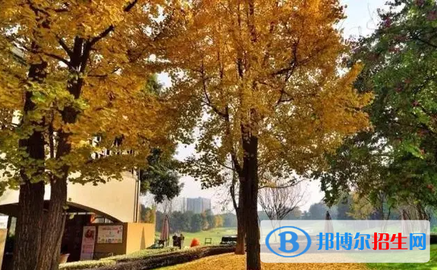 成都麓山國際光亞學(xué)校高中部2022年學(xué)費標準