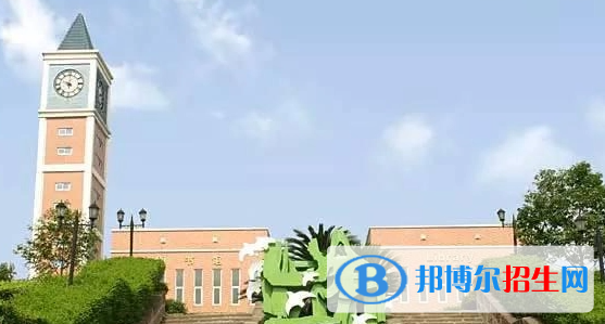 成都美視國際學校小學部2023年課程體系2