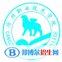 滄州職業(yè)技術(shù)學(xué)院藝術(shù)類專業(yè)有哪些？（藝術(shù)類專業(yè)）