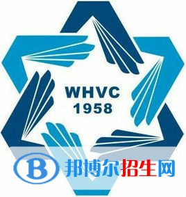 威海職業(yè)學院藝術類專業(yè)有哪些？（藝術類專業(yè)）