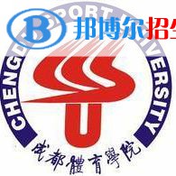 成都體育學(xué)院藝術(shù)類專業(yè)有哪些？（藝術(shù)類專業(yè)）
