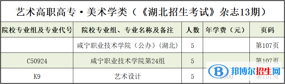 咸寧職業(yè)技術(shù)學(xué)院藝術(shù)類專業(yè)有哪些？