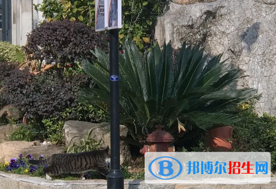 南京寧海中學(xué)2023年學(xué)費(fèi)、收費(fèi)多少 