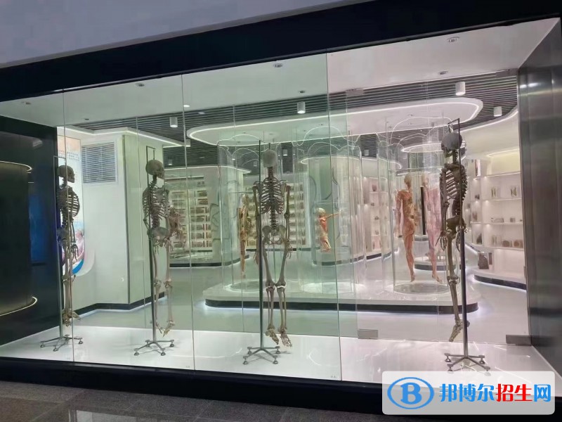 云南2023年衛(wèi)校哪一個好