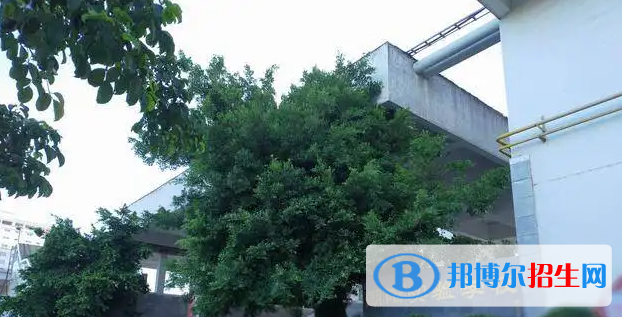 2023年汕頭好的高中學(xué)校有哪些，汕頭重點(diǎn)高中排行榜