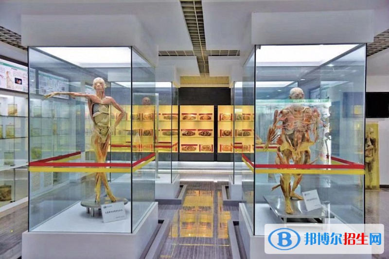 云南2023年衛(wèi)校較好的大專(zhuān)