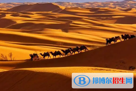 中衛(wèi)市中考英語總分(滿分）是多少？（附中衛(wèi)中考成績查詢?nèi)肟冢? width=