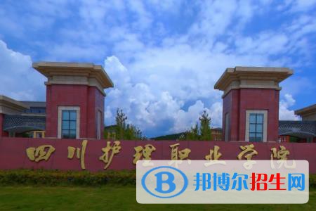 四川護理職業(yè)學(xué)院是大專還是中專(四川護理職業(yè)學(xué)院)