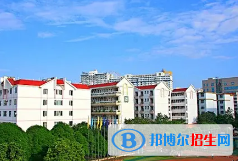 廣西2023年計(jì)算機(jī)學(xué)校有什么專業(yè)適合男生