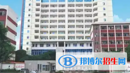 廣西2023年計算機學校都有什么專業(yè)適合男生
