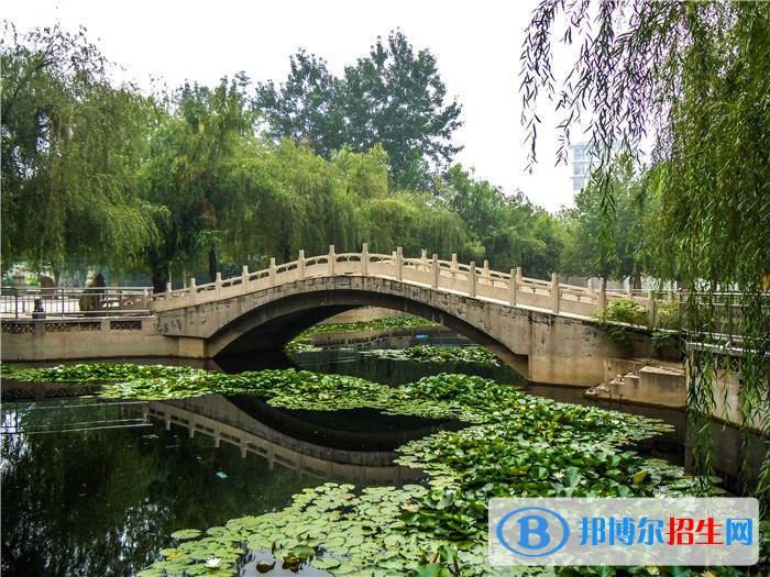 石家莊2023年計算機學(xué)校什么時候招生