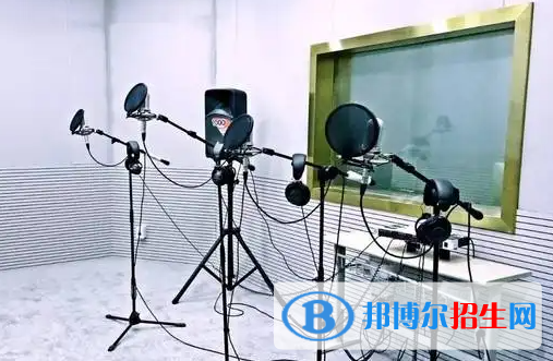 大學(xué)錄音藝術(shù)專業(yè)可以從事哪些工作？
