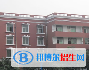 河南2023年衛(wèi)校學什么好找工作