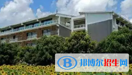 2023廣西十大?？茖W校排名