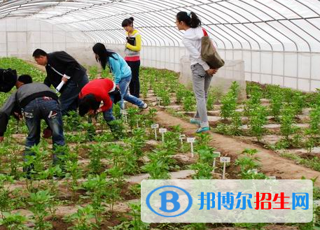 生態(tài)農(nóng)業(yè)技術專業(yè)好嗎?