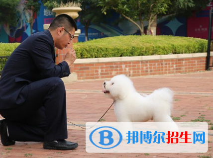 寵物養(yǎng)護(hù)與馴導(dǎo)專(zhuān)業(yè)好嗎?