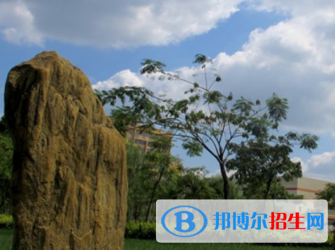 2023新鄉(xiāng)有哪些專科學校 