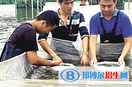 水產(chǎn)養(yǎng)殖技術(shù)專(zhuān)業(yè)好嗎?