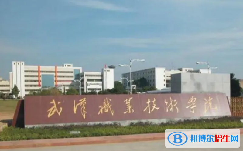 武漢職業(yè)技術(shù)學(xué)院?jiǎn)握性趺礃?？?024）