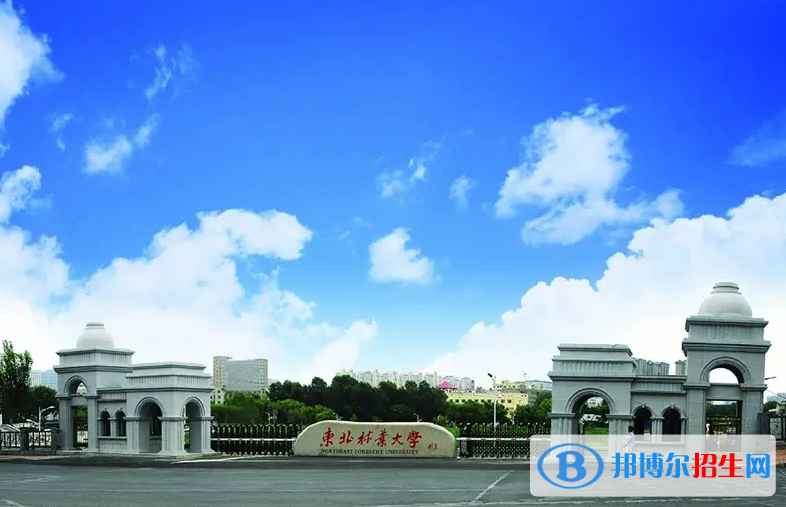 東北林業(yè)大學(xué)2022年各個(gè)專業(yè)錄取分?jǐn)?shù)線匯總