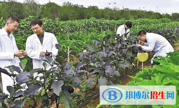 綠色生物制造技術(shù)專業(yè)(國(guó)標(biāo)版)怎么樣?