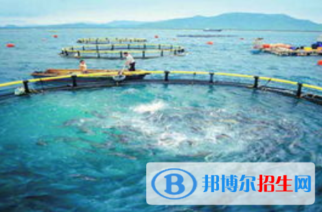 水產(chǎn)養(yǎng)殖學(xué)專(zhuān)業(yè)好嗎?(水產(chǎn)養(yǎng)殖學(xué)專(zhuān)業(yè))