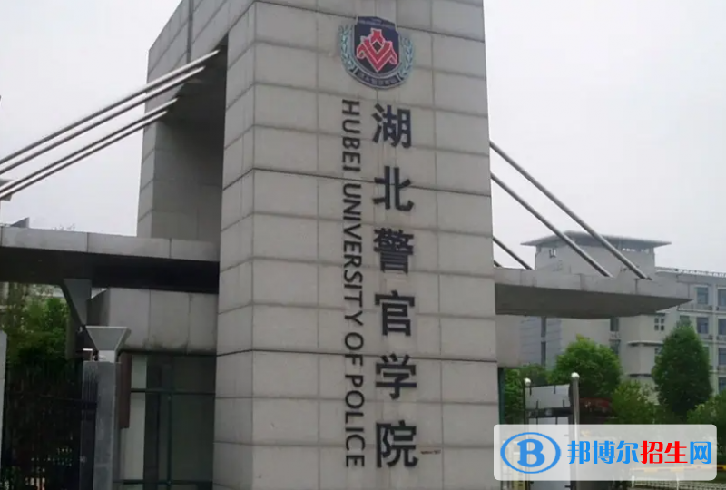 山東高考490分左右可以報考什么學校（2023報考參考）