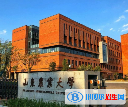 泰安所有公辦大學(xué)有哪些？（附大學(xué)名單）