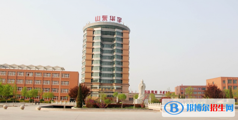 山東高考205分左右可以報考什么學校（2023報考參考）