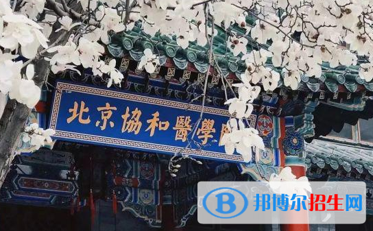 北京協(xié)和醫(yī)學院全國排名一覽表