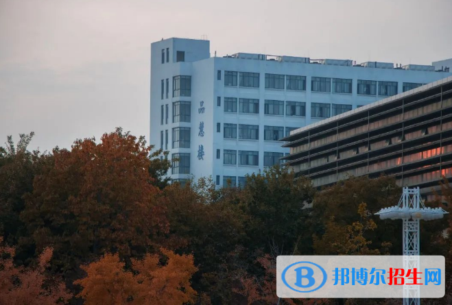 山東省大學(xué)排名2022最新排名：軟科、校友會(huì)最新版完整排名一覽