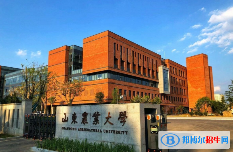山東農(nóng)業(yè)大學有哪些中外合作辦學專業(yè)？（附名單）
